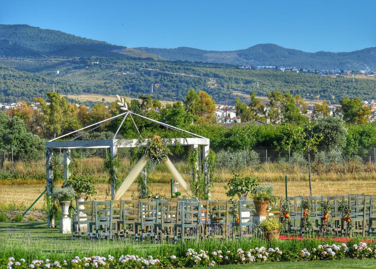 Cortijo El Maizal Villa Granada Exteriör bild